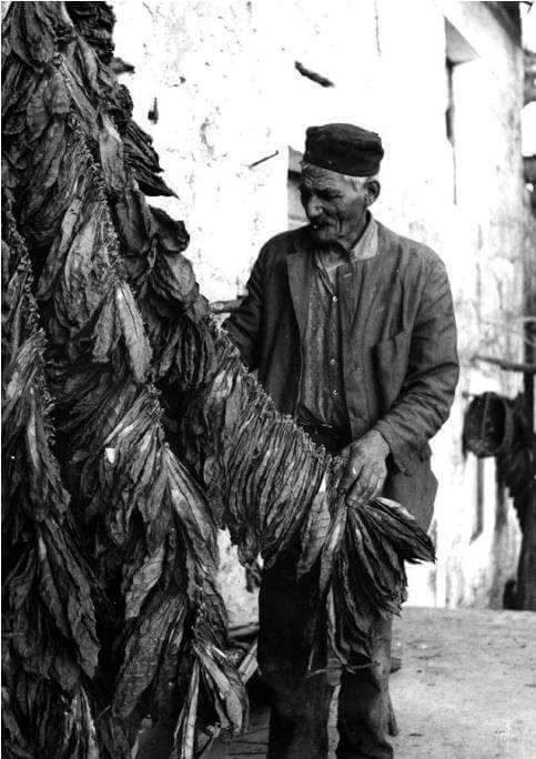 Seljak s duhanom