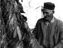 Seljak s duhanom